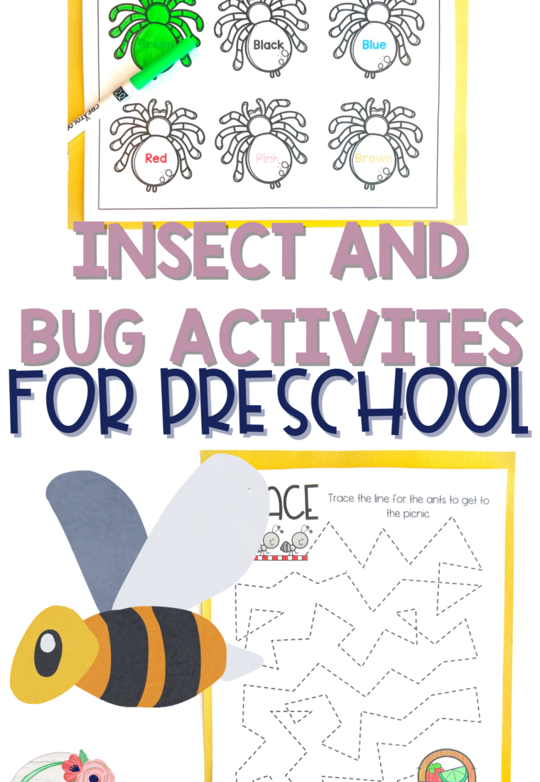 Insect and Bugs Preschool Activities